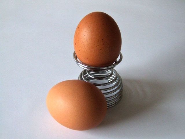 Disadvantages of the egg diet
