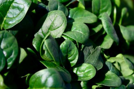 9 Foods That Make Us Happier