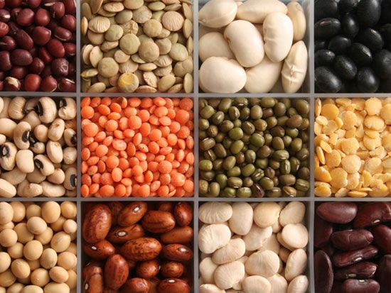 fat burning foods