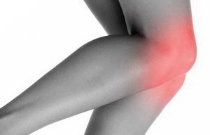 What is the knee of and what is its role?