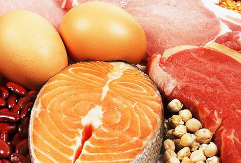 what is a protein diet 