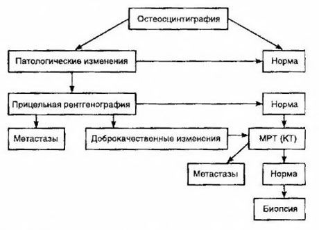 Tactics for suspected bone metastasis