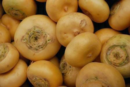 Turnip. 36 kcal / 100 g.  