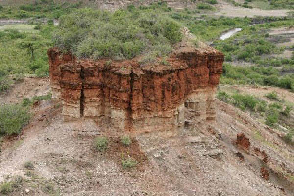 Drastic climate changes have influenced human evolution