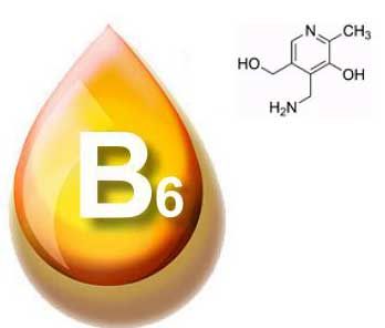 Basic information about vitamin B6
