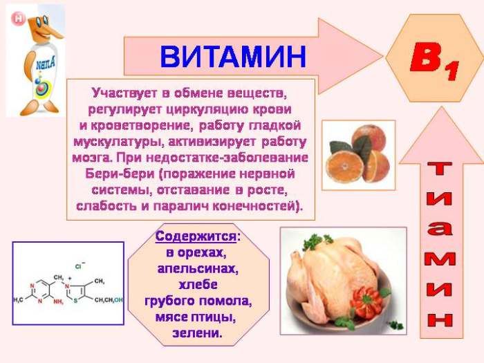 The properties of vitamin B1