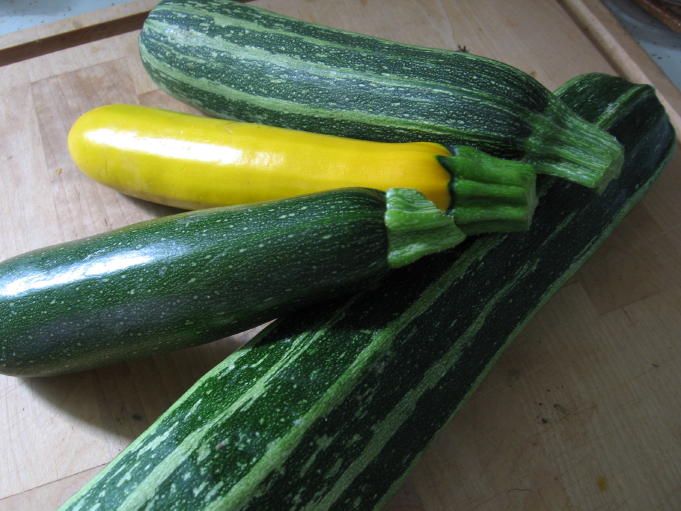 Zucchini. 20 kcal / 100 g.